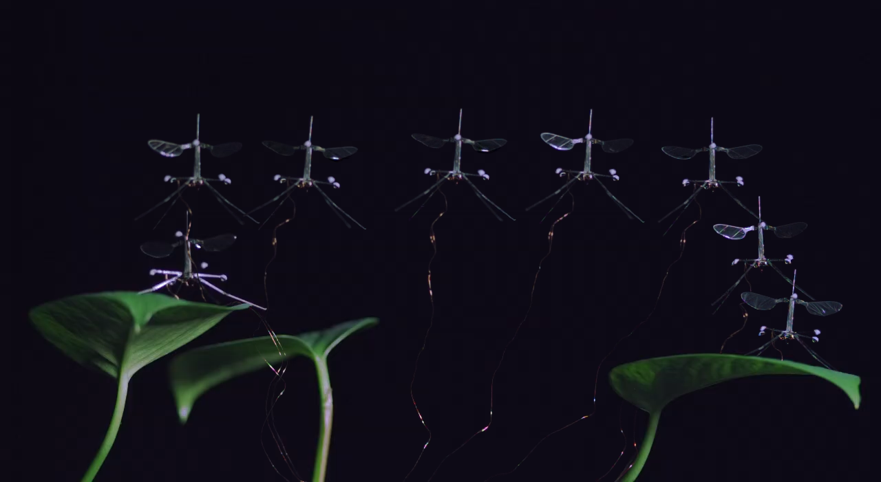 RoboBee landing on a leaf