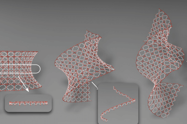 Image of totimorphic materials
